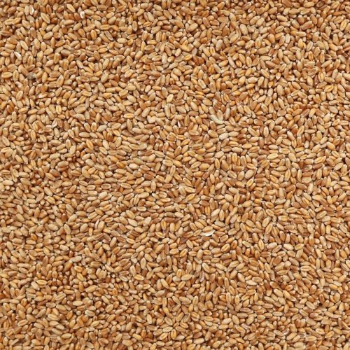 Premium Wheat